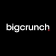 Bigcrunch Digital Ajans