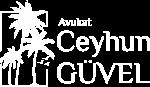Mersin Avukat Ceyhun Güvel